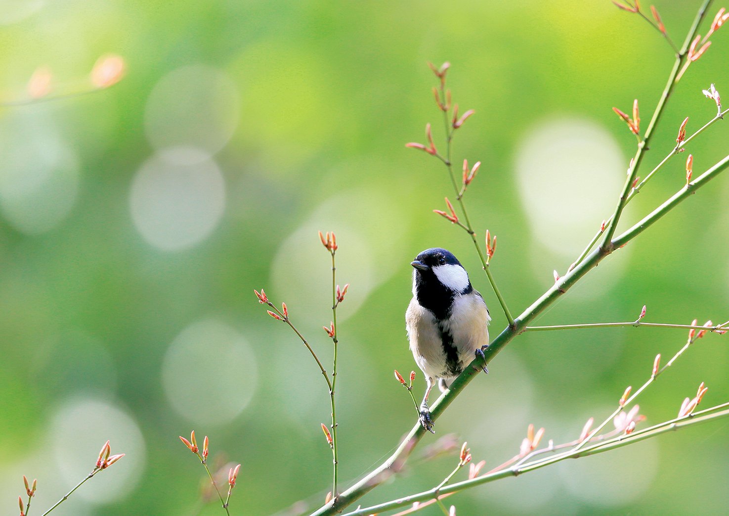 1655447402202040562.jpg 1.jpg