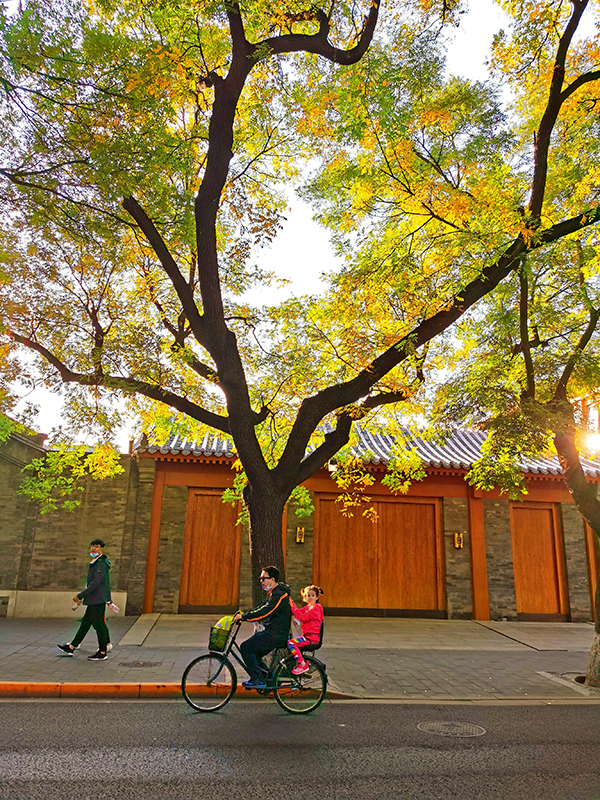 VCG111303481656.jpg