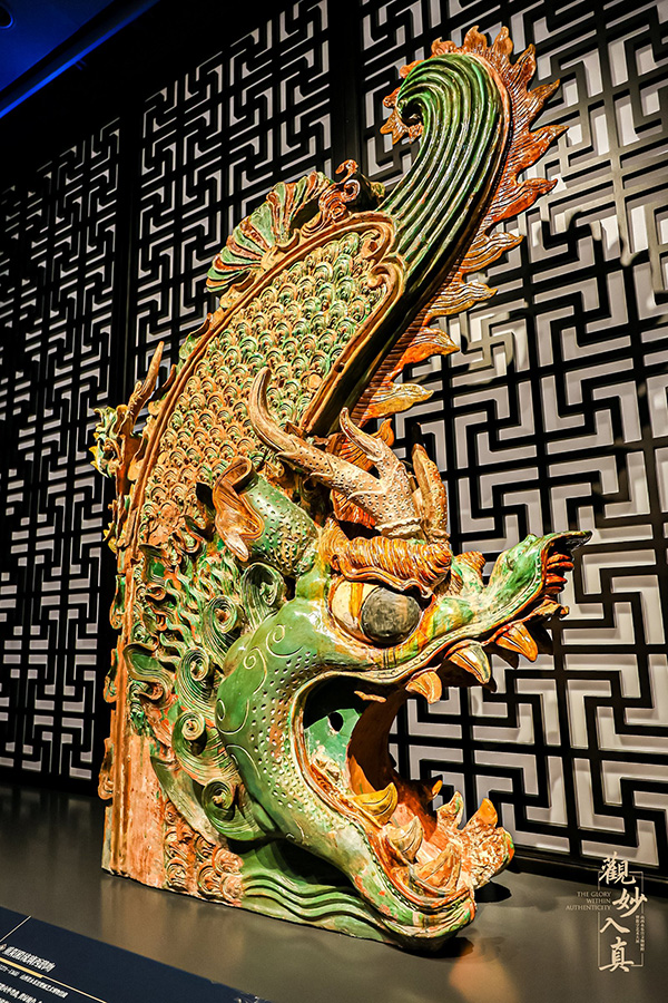 1736922537191065336.jpg 19.jpg