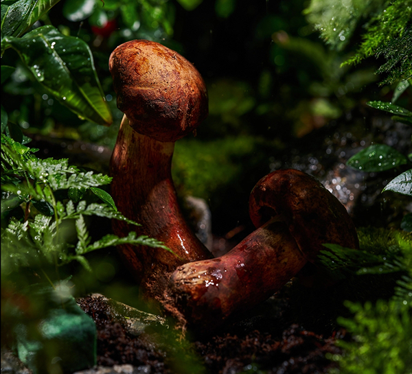 1744096313854050699.png 图片3.png