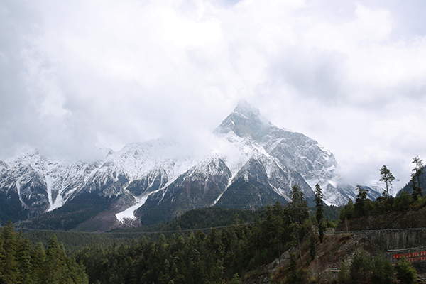 1744096335268084169.png 图片4.png