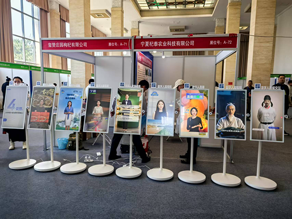图片13.png