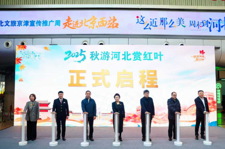 1761729701047073404.png 1.png