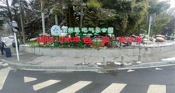 1763086032370047641.png 图片1.png