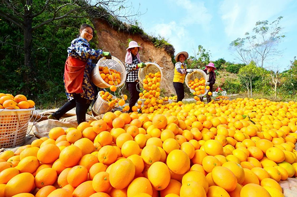 1763086062261035632.png 图片2.png