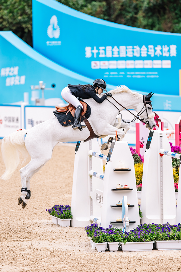 1764123494105023759.png 图片5.png