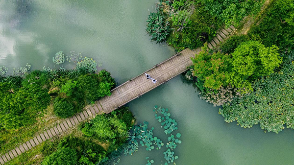 1764747749136062386.png 图片1.png