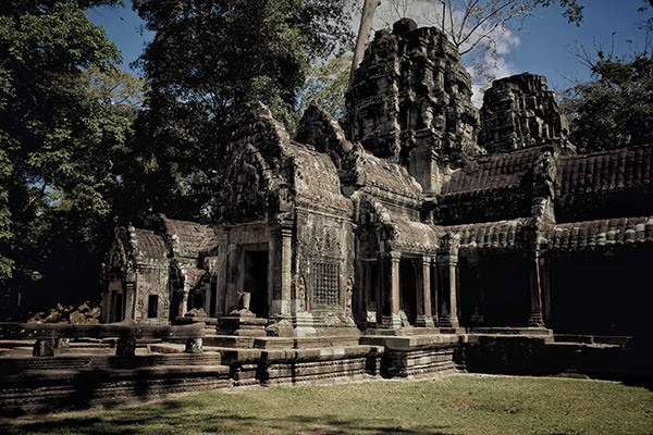 1765418461662021666.jpg 9.jpg